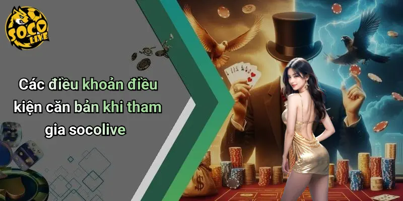 Điều Khoản Điều Kiện