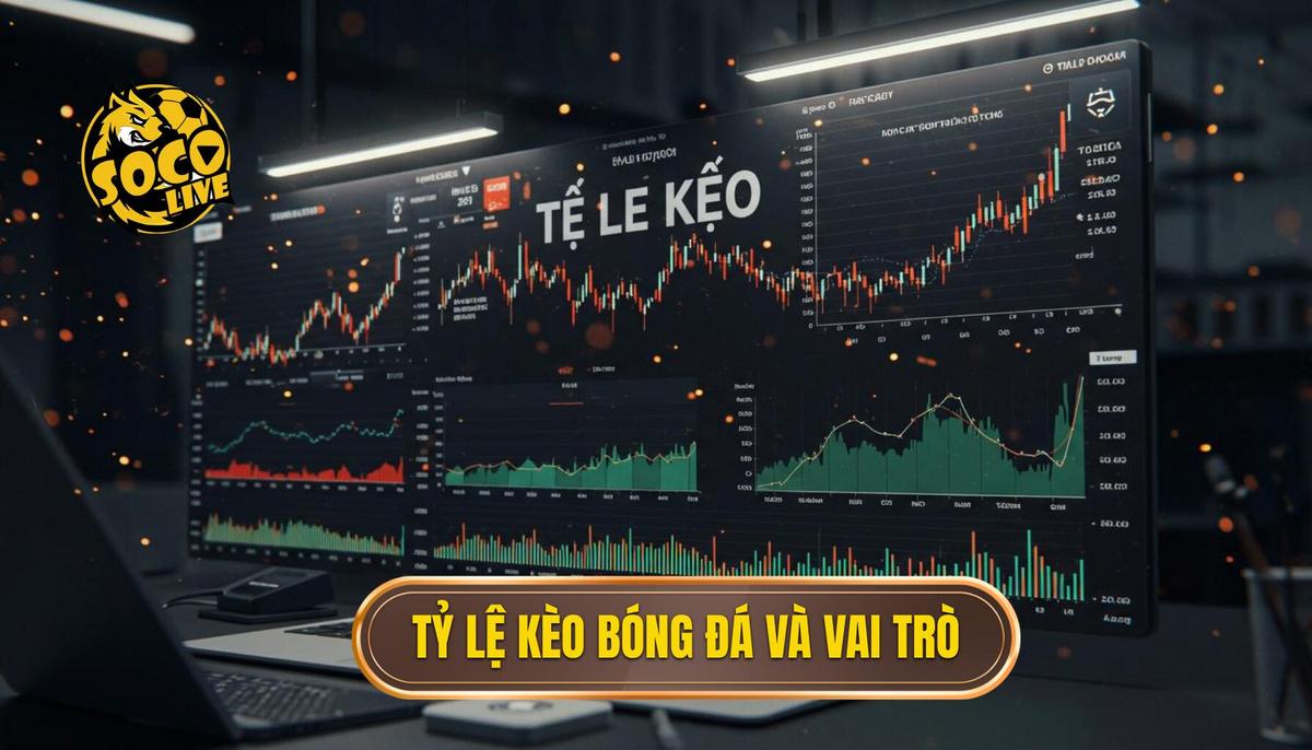 Cách Đọc Tỷ Lệ Kèo Bóng Đá Chuẩn Xác: Hướng Dẫn Toàn Diện 2024 1 1. Tổng Quan về Tỷ Lệ Kèo Bóng Đá và Vai Trò Của Chúng