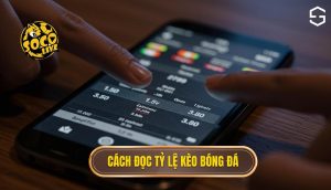 Cách đọc tỷ lệ kèo bóng đá