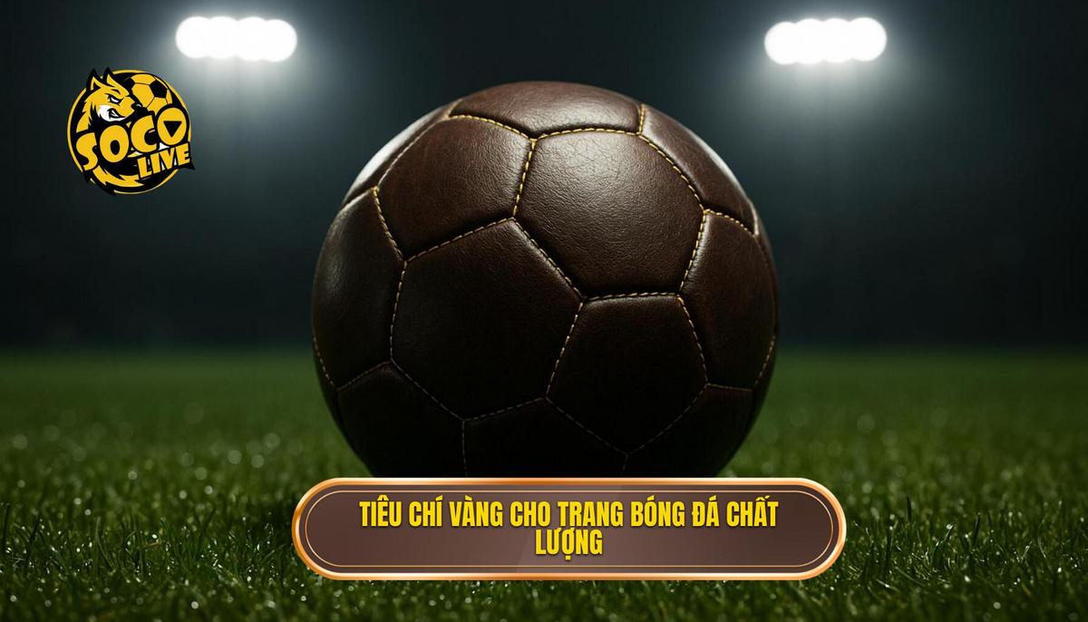 Phân tích các tiêu chí vàng của một trang xem bóng đá chất lượng