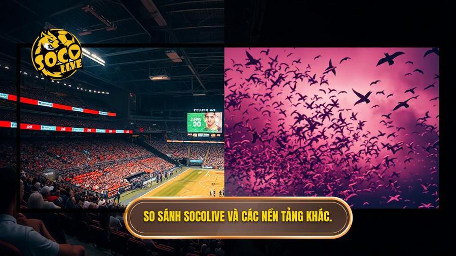 Các giải đấu được hỗ trợ trong chuyên mục Socolive xem lại bàn thắng