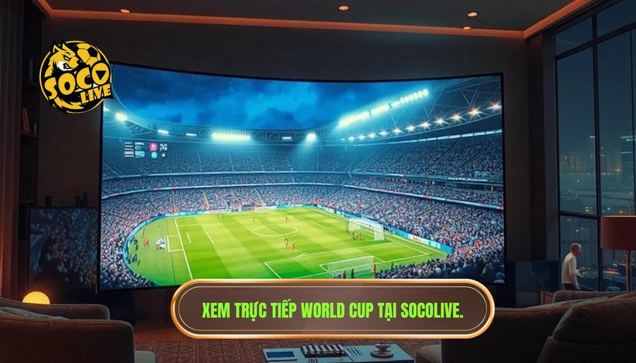 Tại sao nên chọn Socolive trực tiếp World Cup tại tunnelendinn.com?