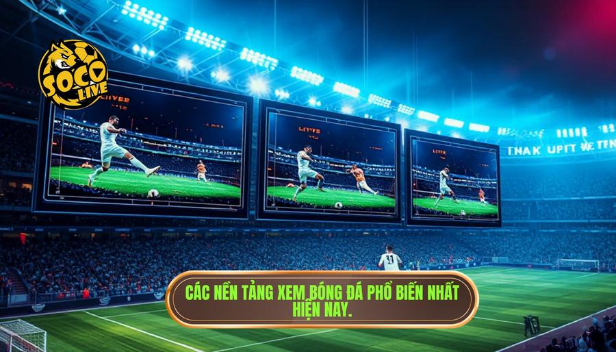 Xem trực tiếp bóng đá ở đâu tốt nhất? Đánh giá chi tiết các nền tảng hàng đầu 2 Phân tích các nền tảng xem bóng đá phổ biến nhất hiện nay
