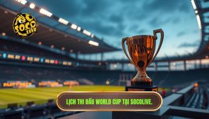 Lịch thi đấu World Cup mới nhất