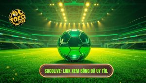 Link xem bóng đá trực tiếp hôm nay
