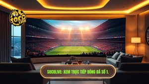 Xem trực tiếp bóng đá ở đâu tốt nhất